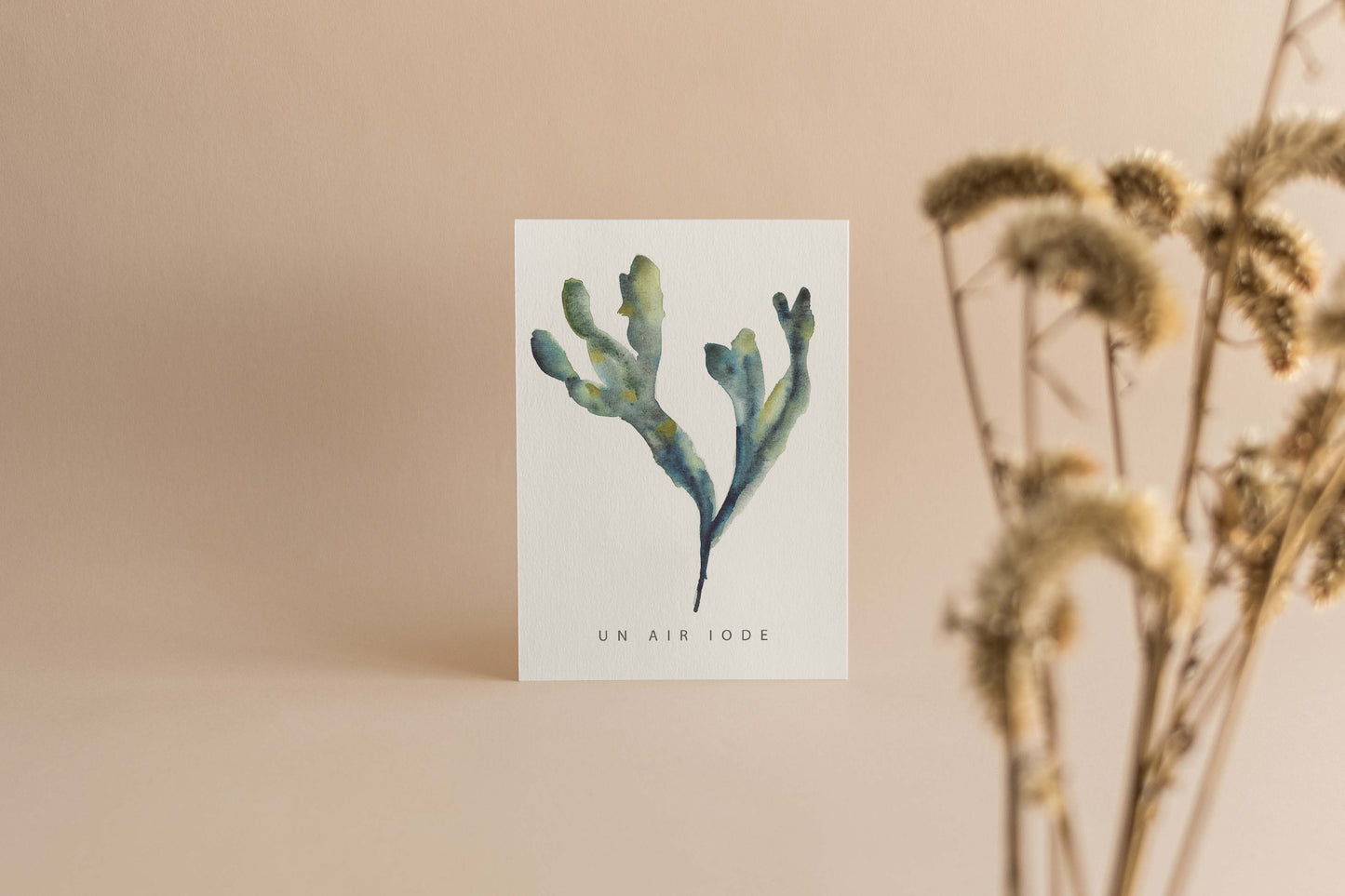 Tirage d'art "Un air iodé"
