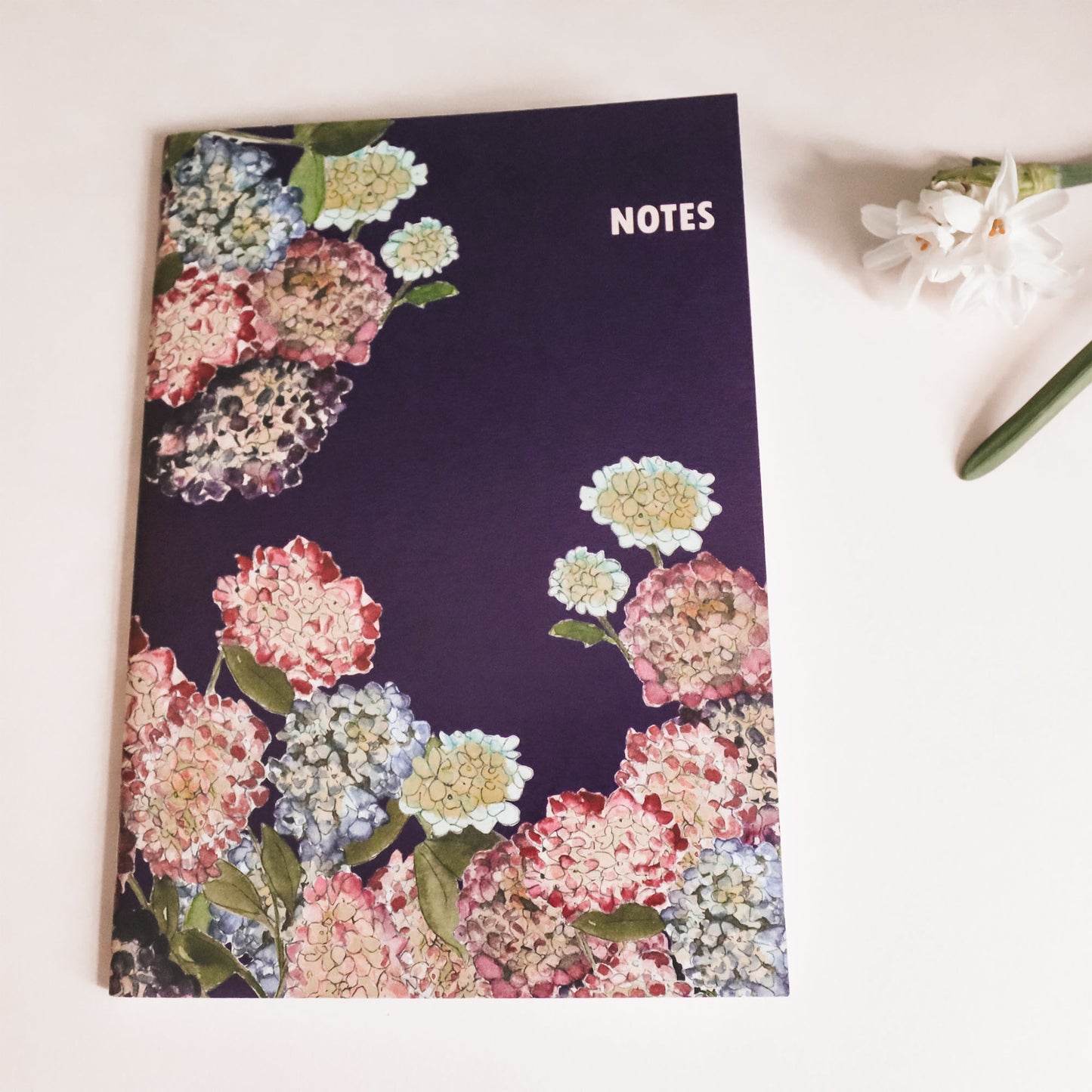 CARNET DE NOTES-COEUR BRETON-A5