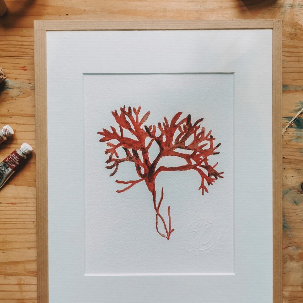 Corail -A5 encadrement