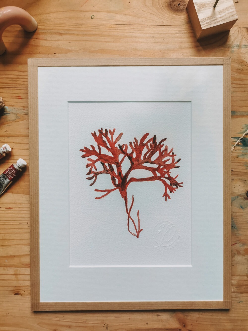 Corail -A5 encadrement